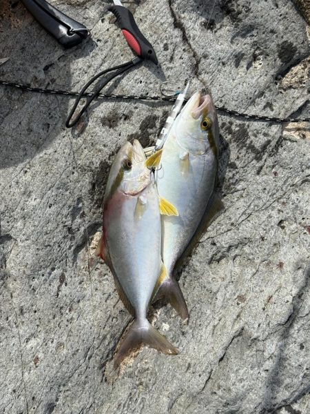 味をしめた磯にて、、ツヌケました〜