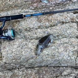 宮津市エギランガン