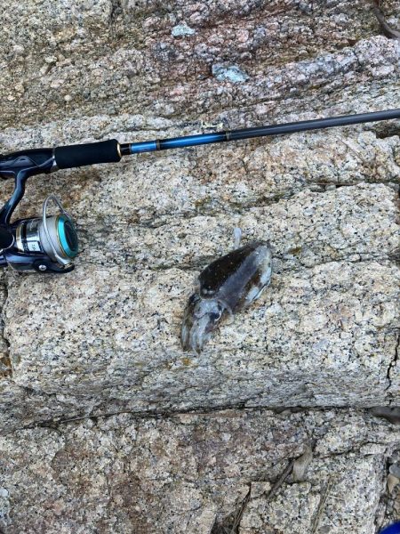 宮津市エギランガン