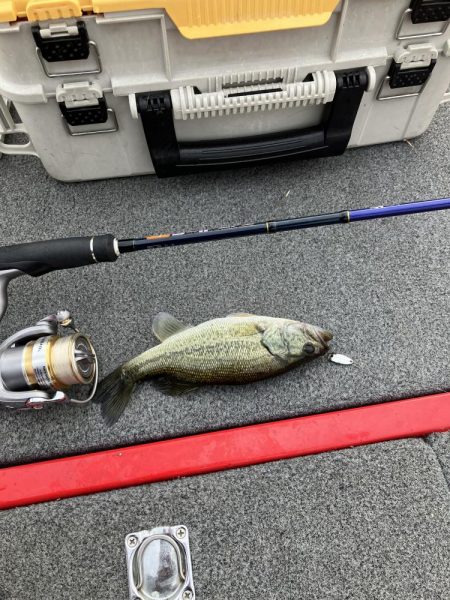 秋バスまだ早いようでした。