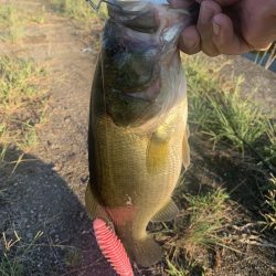 久しぶりのバス釣り