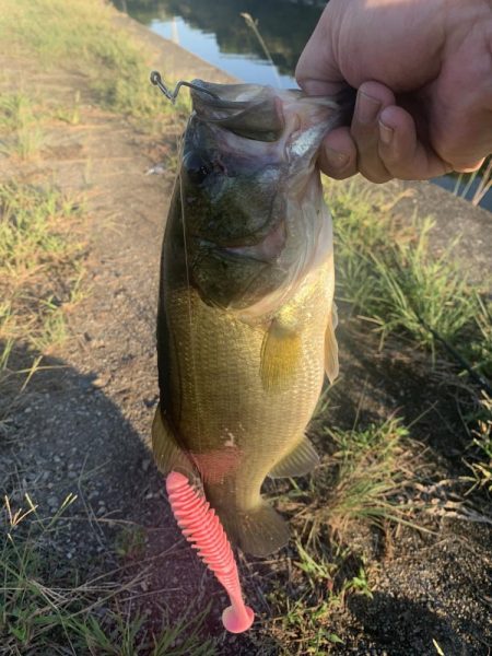 久しぶりのバス釣り