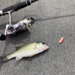 矢橋沖ディープホール