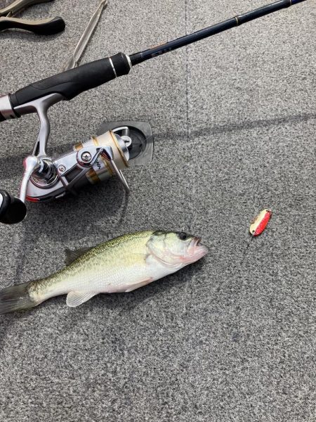 矢橋沖ディープホール