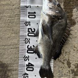 イチノ兄弟、釣果!