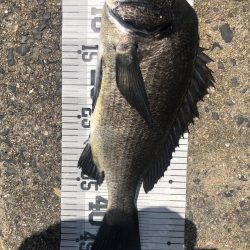 イチノ兄弟、釣果!