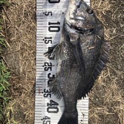 イチノ兄弟、釣果!