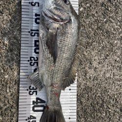 イチノ兄弟、釣果！