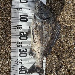 イチノ兄弟、釣果！