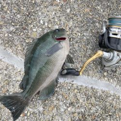 久しぶりの大蔵海岸