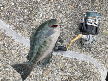 久しぶりの大蔵海岸