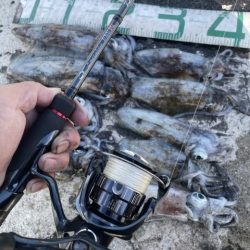 2025 佐渡ヶ島エギング Vol.19【9月27日】