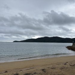 秋イカシーズンイン