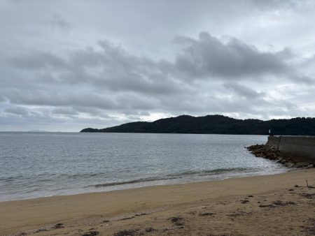 秋イカシーズンイン