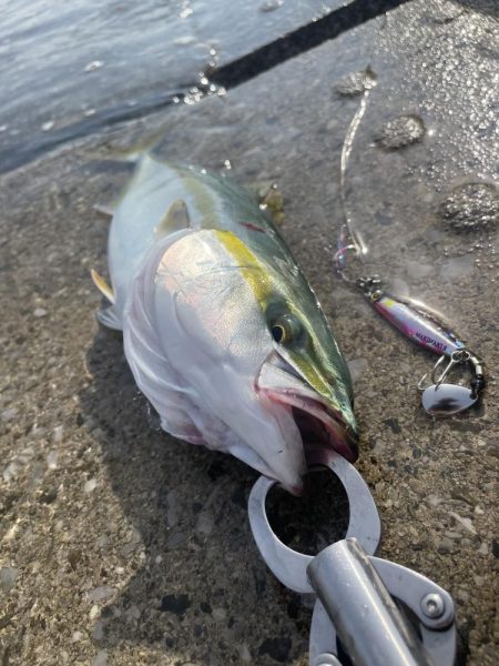 秋になってきた