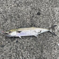 こんなはずでは!