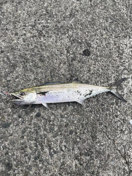 こんなはずでは!