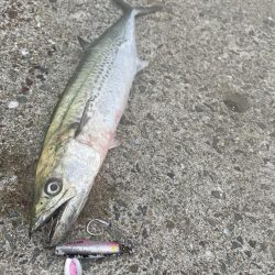 釣れるまで投げれば坊主はない