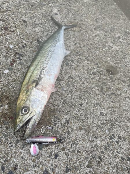 釣れるまで投げれば坊主はない