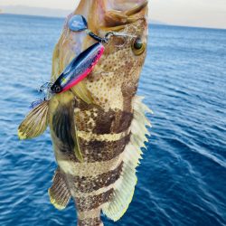 アオハタ自己新