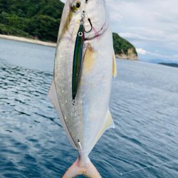 久しぶりの青物ファイト