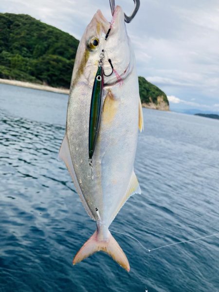 久しぶりの青物ファイト