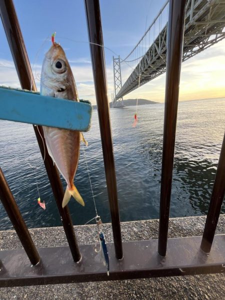 三連休前‥‥魚より人多い