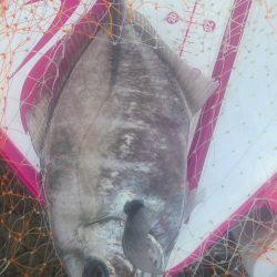 和歌山大引の磯でフカセ釣り