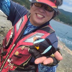 和歌山市江（吉丸渡船）でグレ釣り