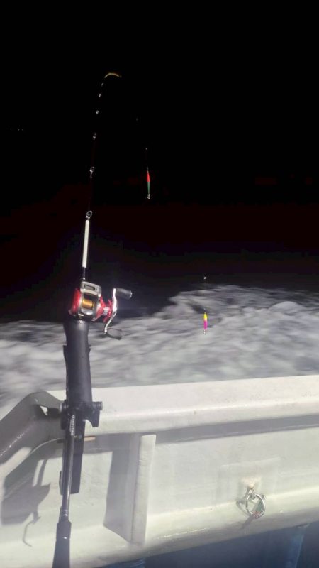 和歌山県市江でアカイカ釣り