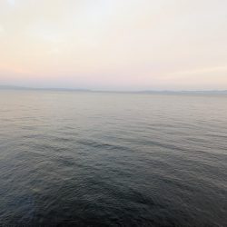 祭りが終わって平和な貝塚人工島でした。