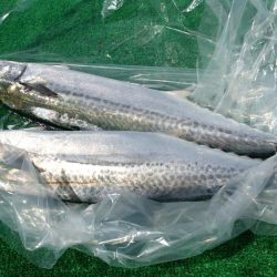 四日市サワキャス