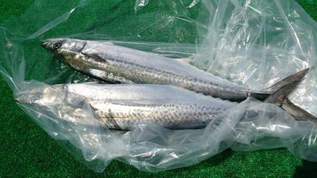 四日市サワキャス