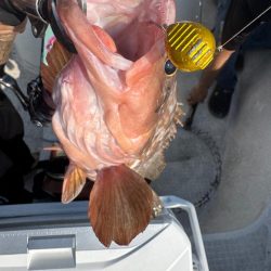 瀬戸内海一つテンヤゲーム