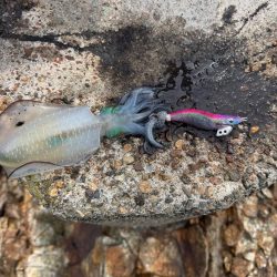 今日も隙間時間に!