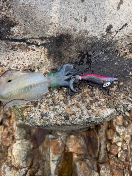 今日も隙間時間に!