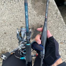 デイの秋エギング！