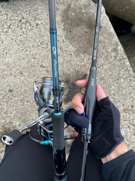 デイの秋エギング！