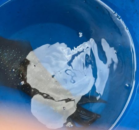 またまたアオリイカ釣りに