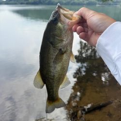 秋めいてますね