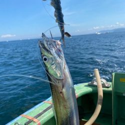 タチウオメーターオーバー