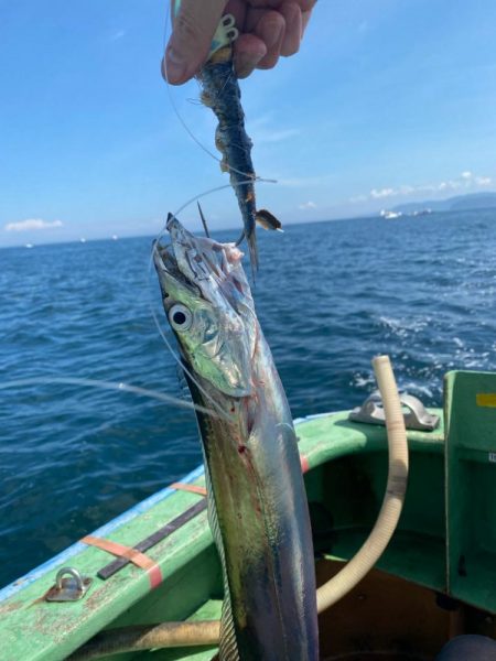 タチウオメーターオーバー