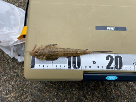 キスも良いがガッチョがでかい