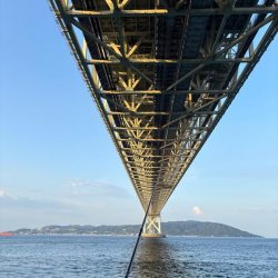 久々のイカ釣り