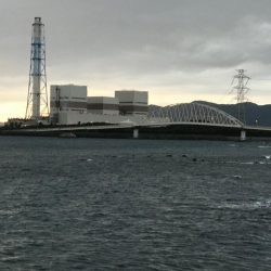 今年も厳しい秋イカのらはじまり