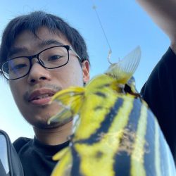 濁りと暑さの闘い