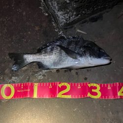 何が起きた!千葉港⭐︎⭐︎⭐︎