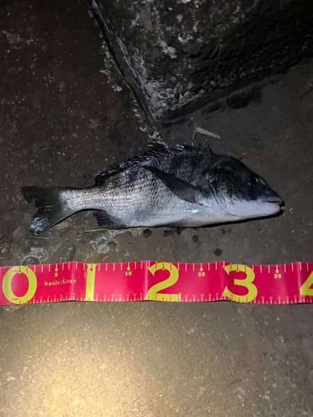 何が起きた!千葉港⭐︎⭐︎⭐︎