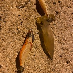 旅行ついでに調査してきました