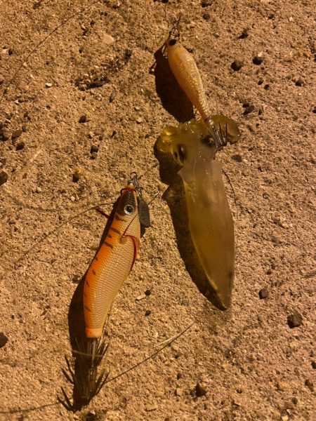 旅行ついでに調査してきました